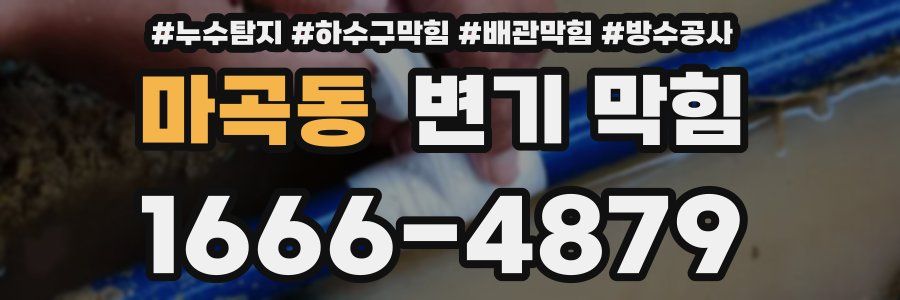 마곡동 변기 막힘