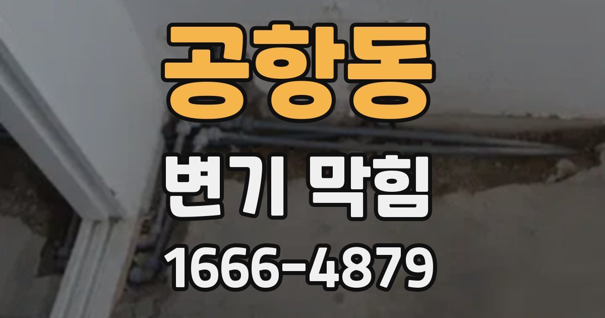공항동 변기 막힘