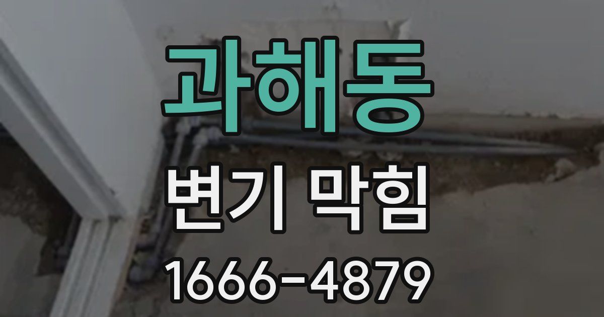 과해동 변기 막힘