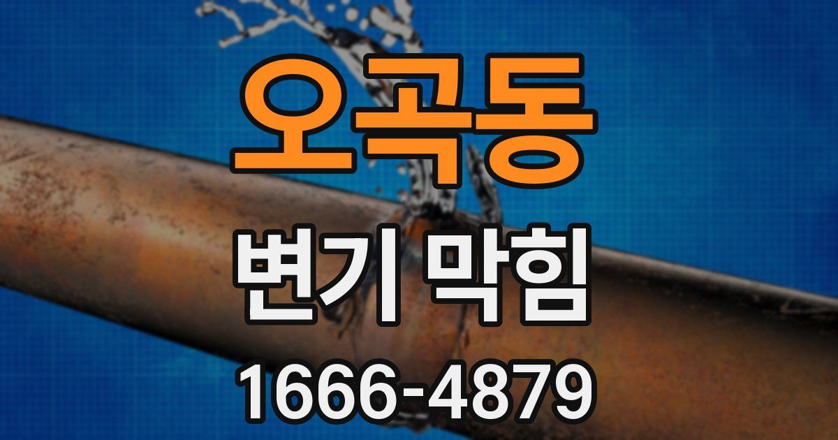 오곡동 변기 막힘
