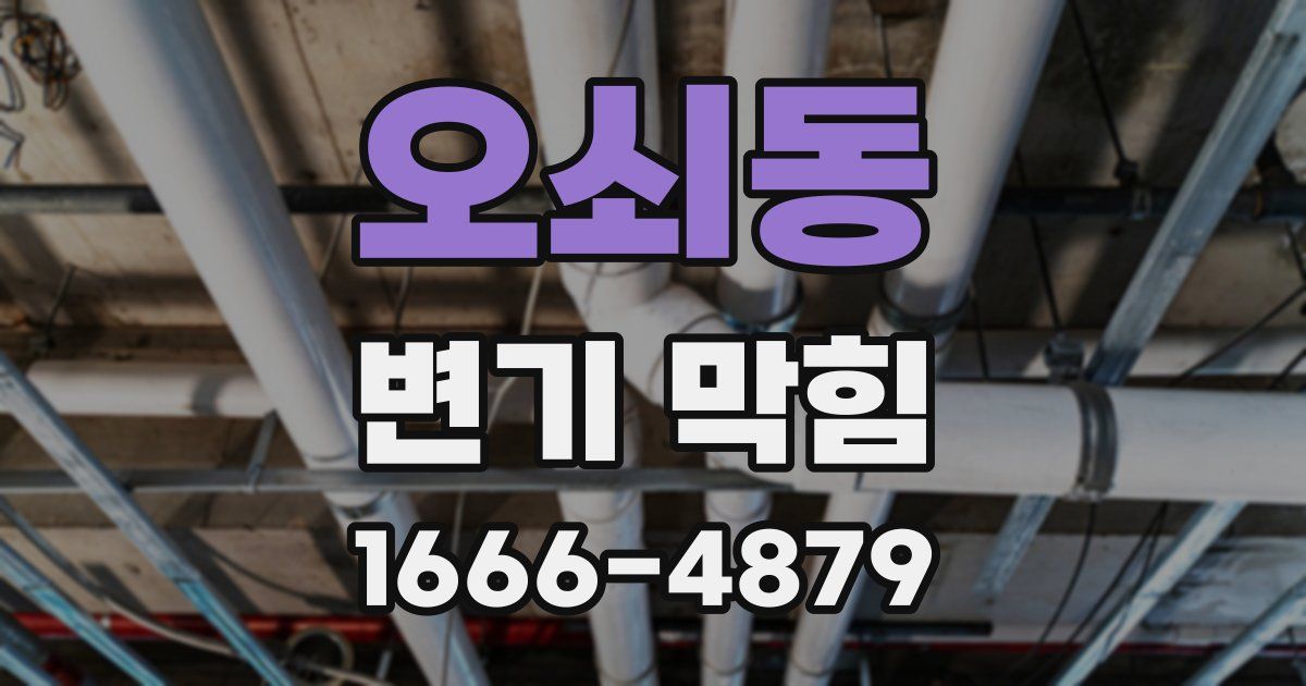 오쇠동 변기 막힘