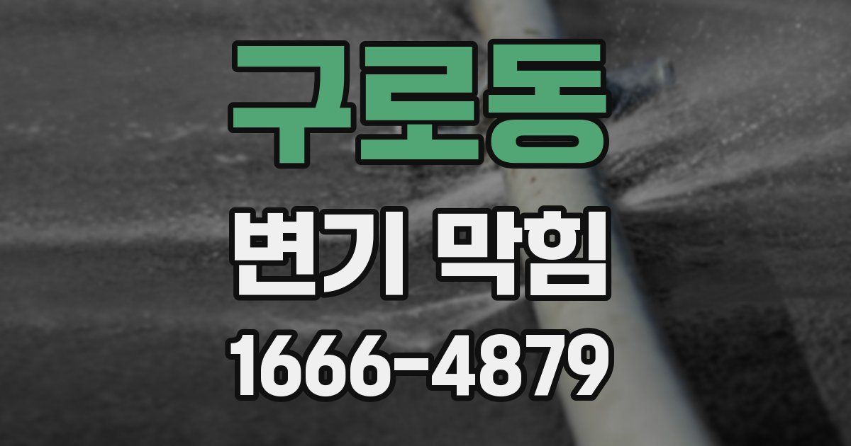 구로동 변기 막힘