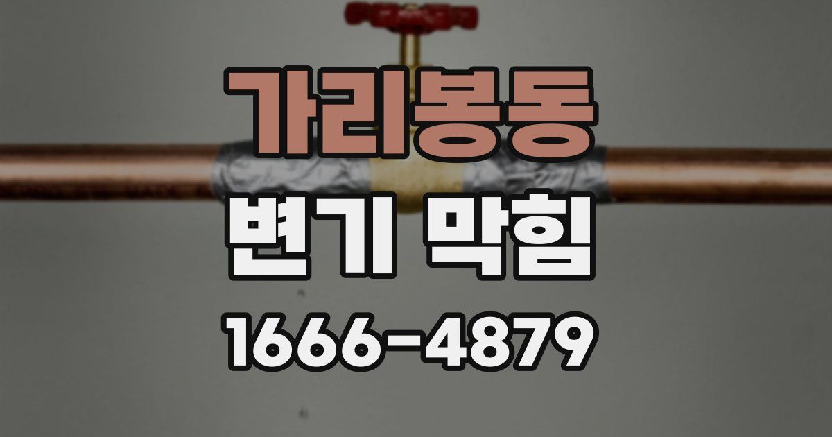 가리봉동 변기 막힘