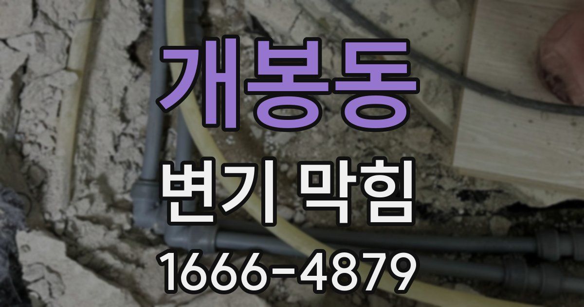 개봉동 변기 막힘