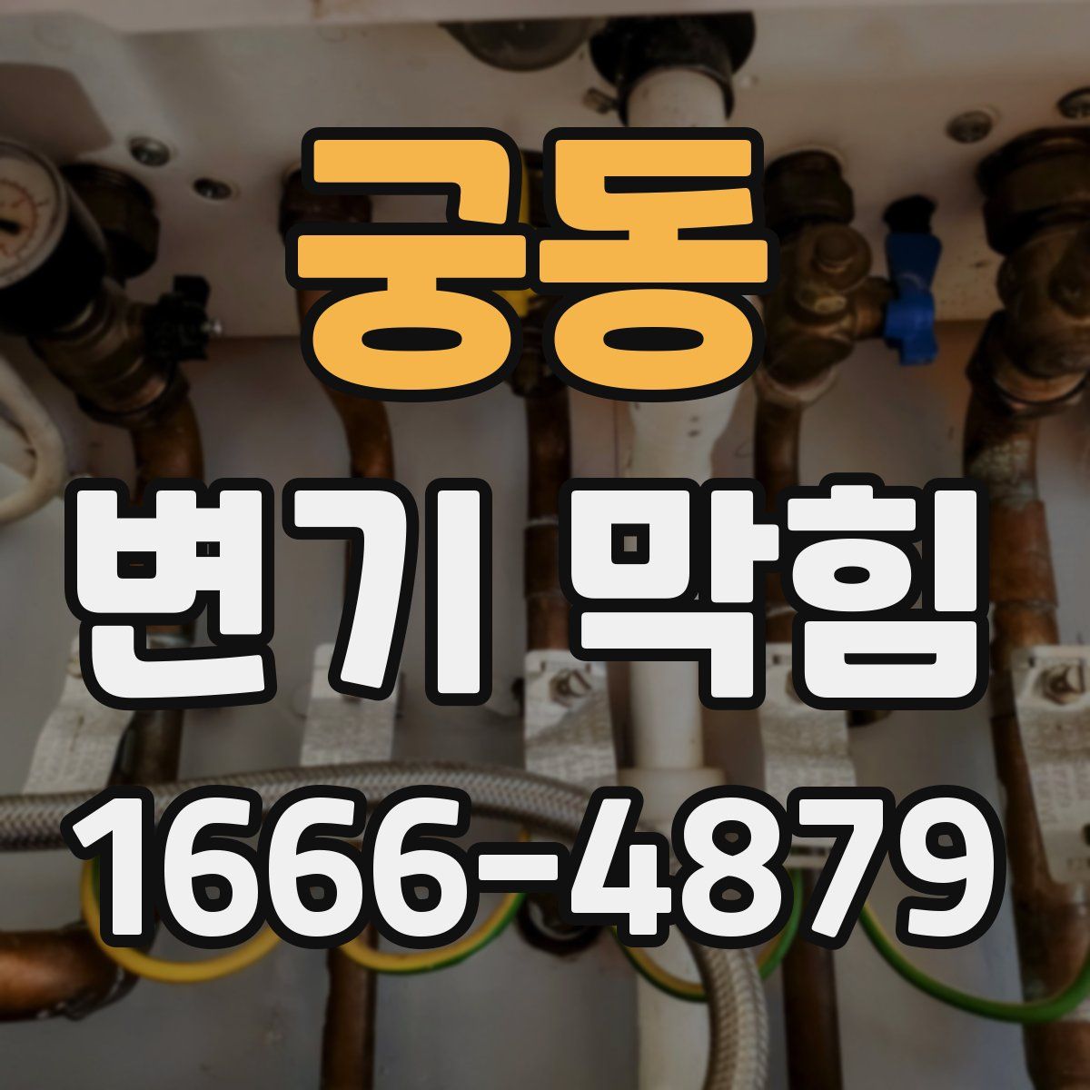 궁동 변기 막힘
