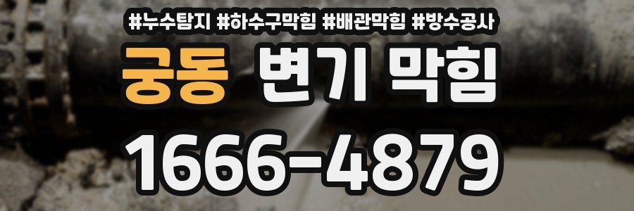 궁동 변기 막힘
