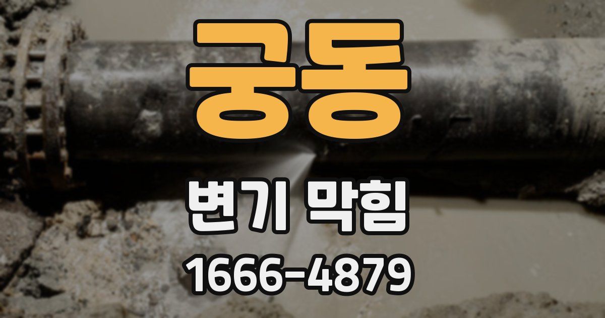 궁동 변기 막힘