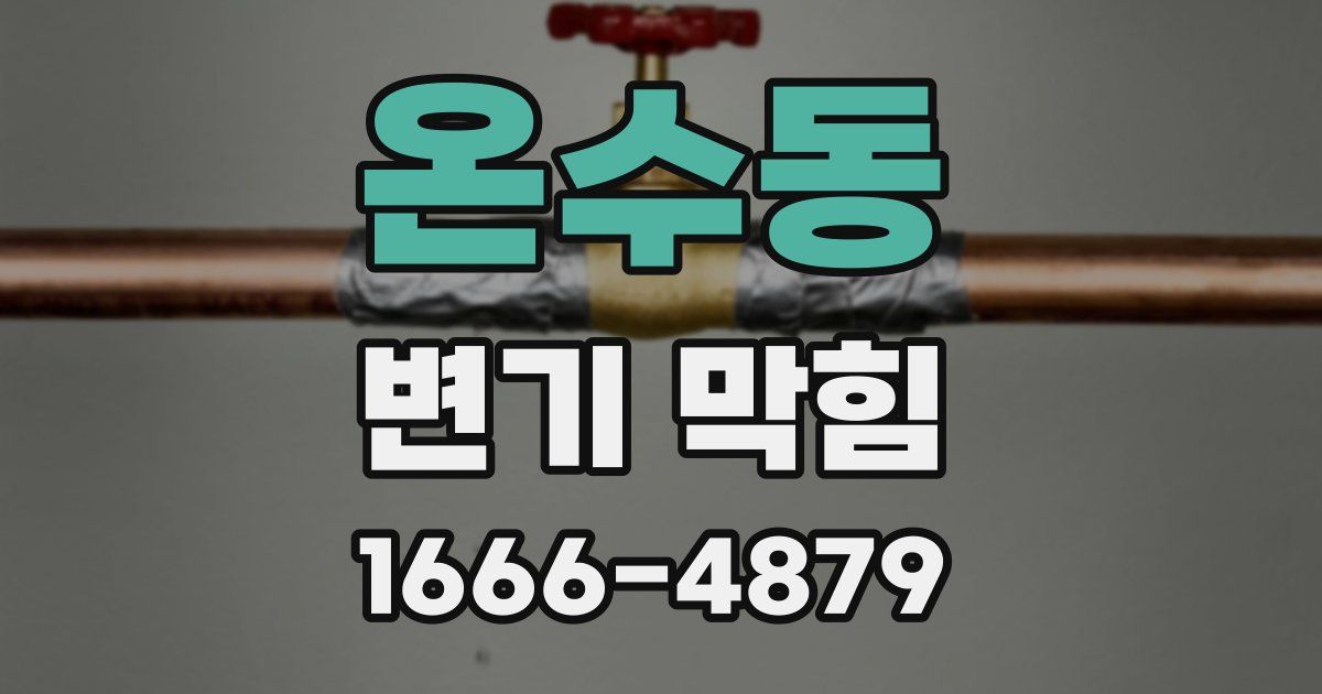 온수동 변기 막힘