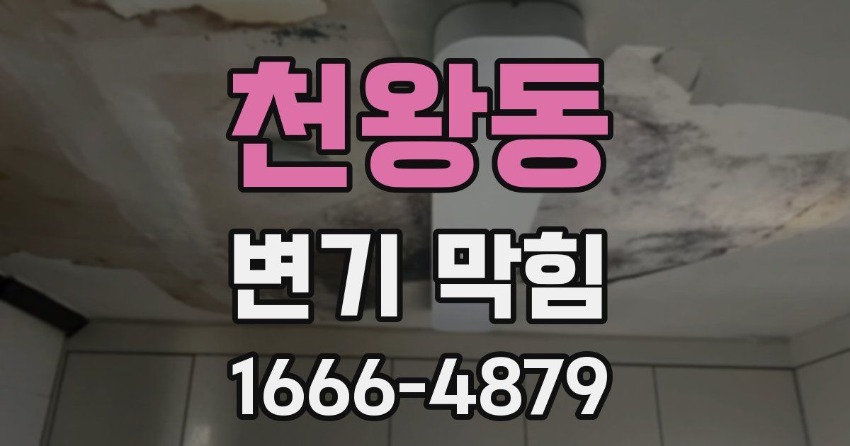 천왕동 변기 막힘