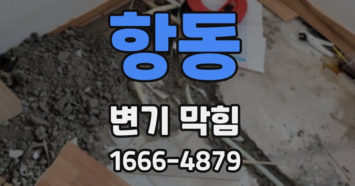 항동 변기 막힘