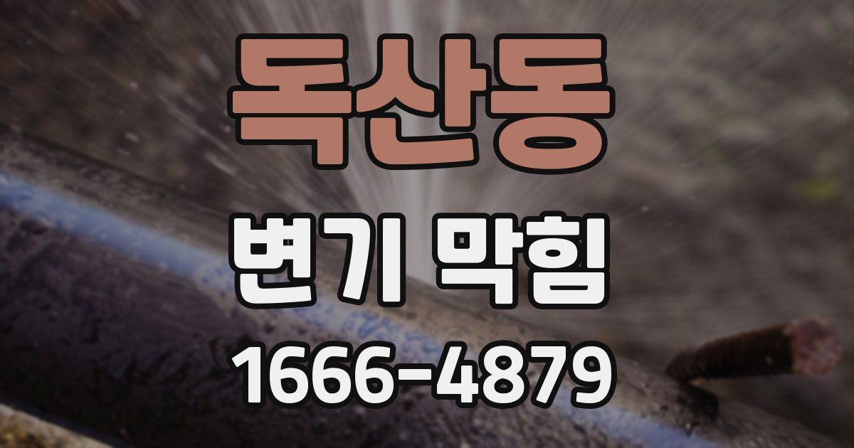 독산동 변기 막힘