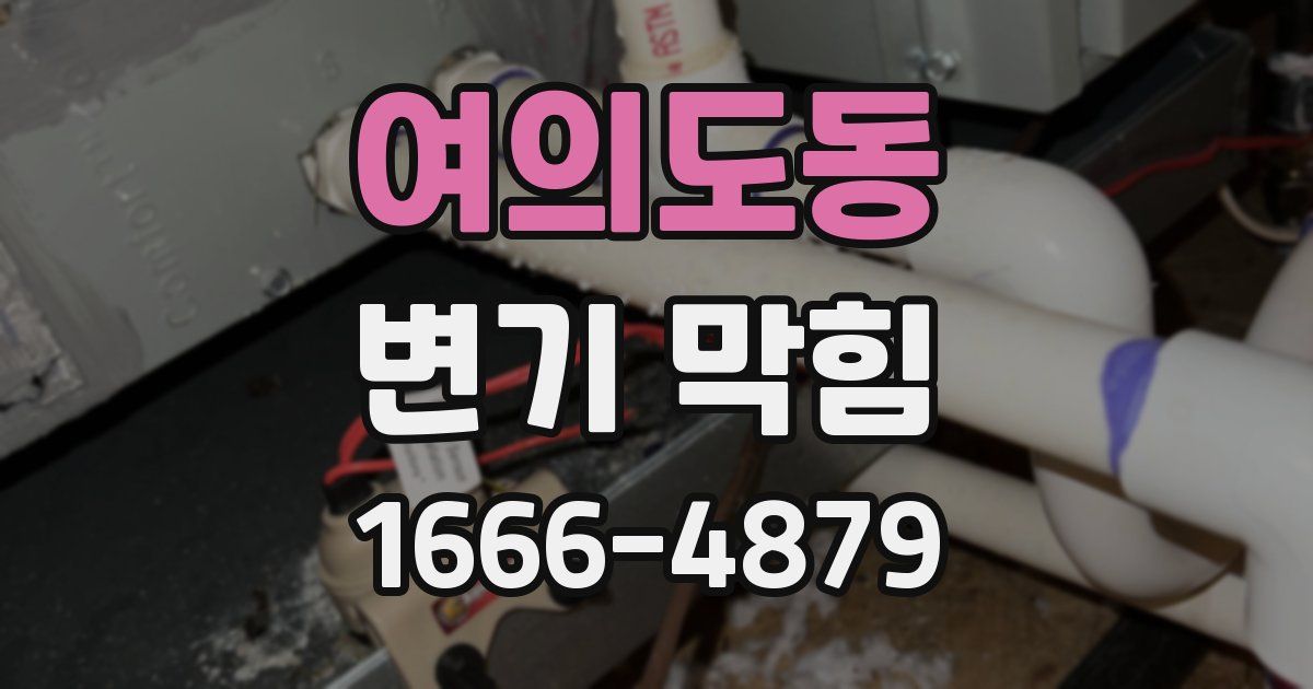 여의도동 변기 막힘