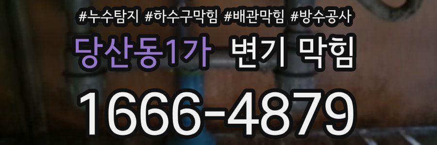 당산동1가 변기 막힘