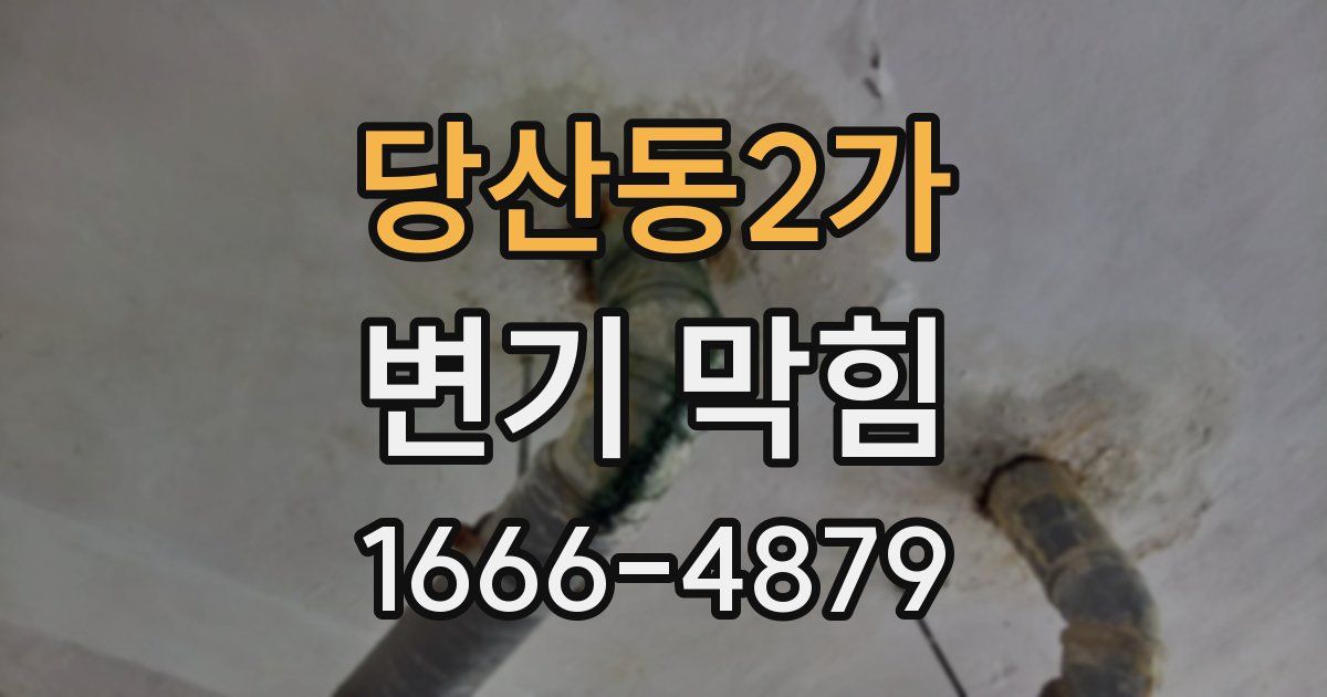 당산동2가 변기 막힘
