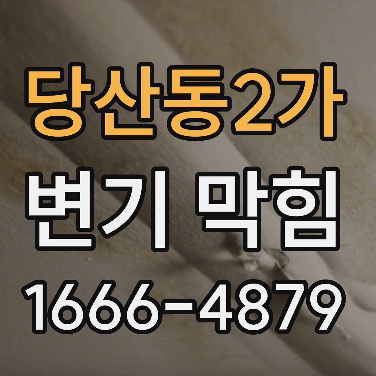 당산동2가 변기 막힘