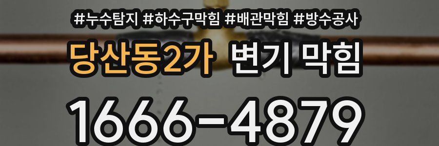 당산동2가 변기 막힘