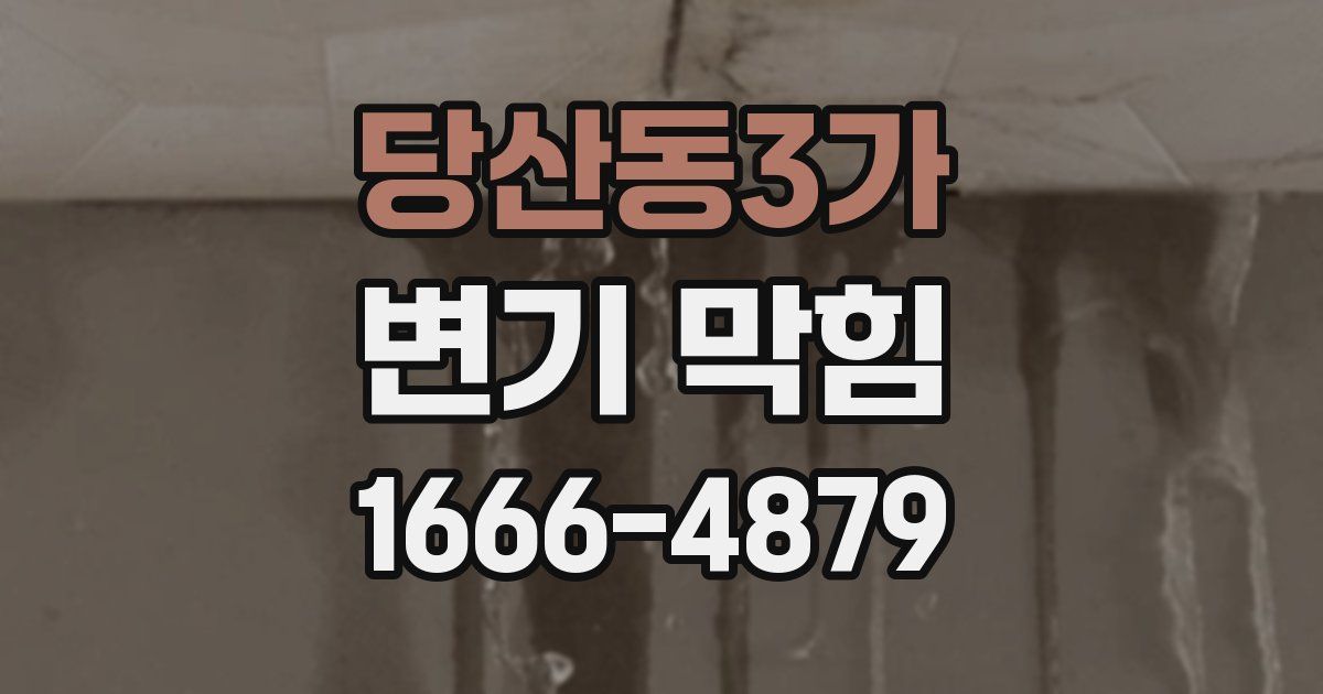 당산동3가 변기 막힘