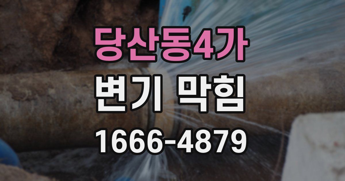 당산동4가 변기 막힘