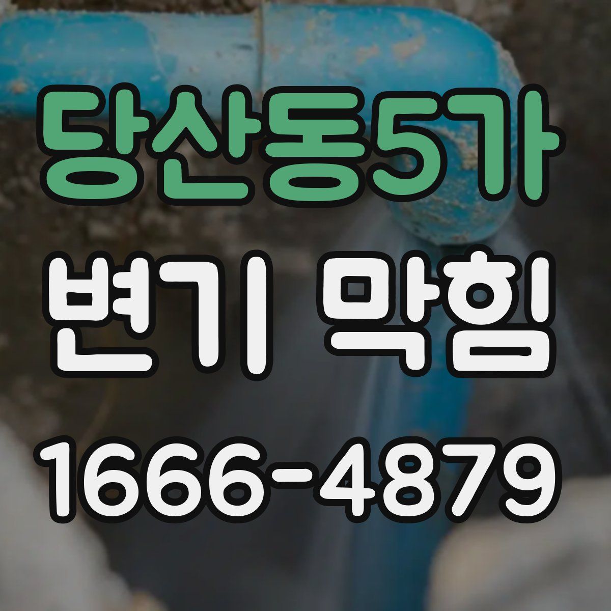 당산동5가 변기 막힘