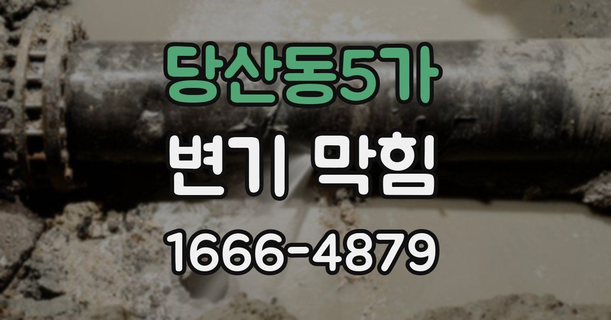 당산동5가 변기 막힘