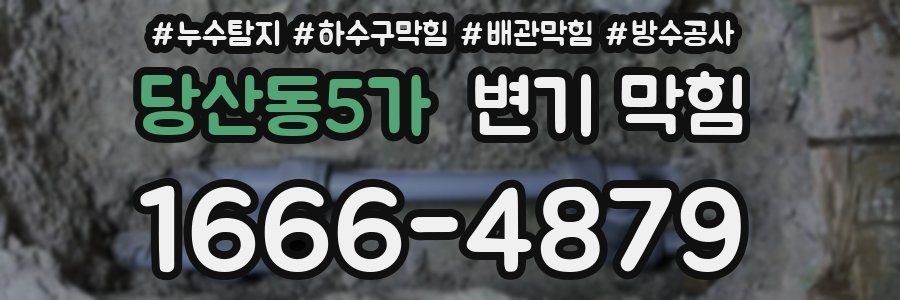 당산동5가 변기 막힘