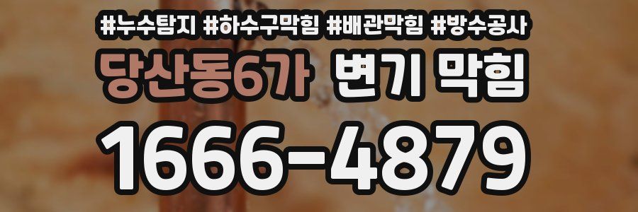 당산동6가 변기 막힘