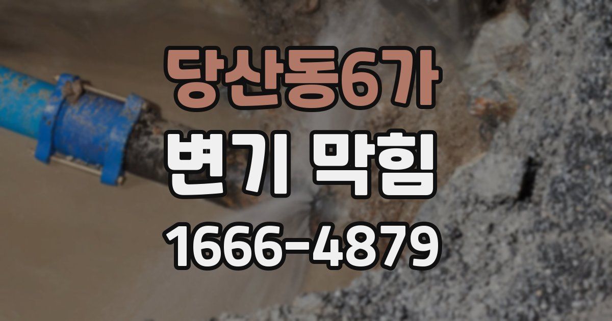 당산동6가 변기 막힘