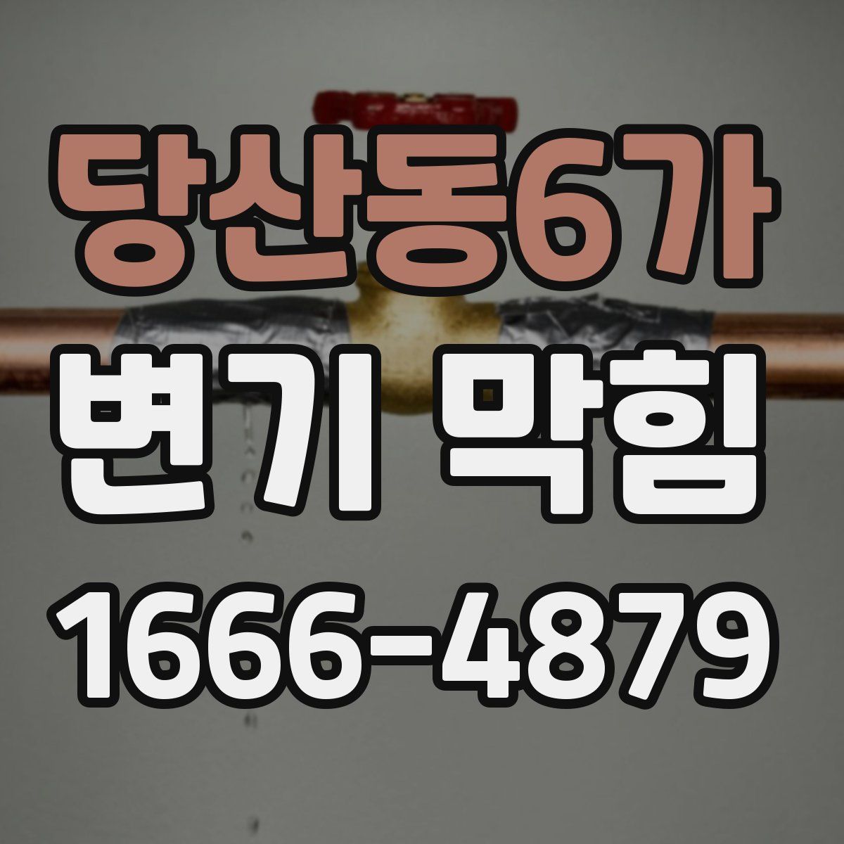 당산동6가 변기 막힘