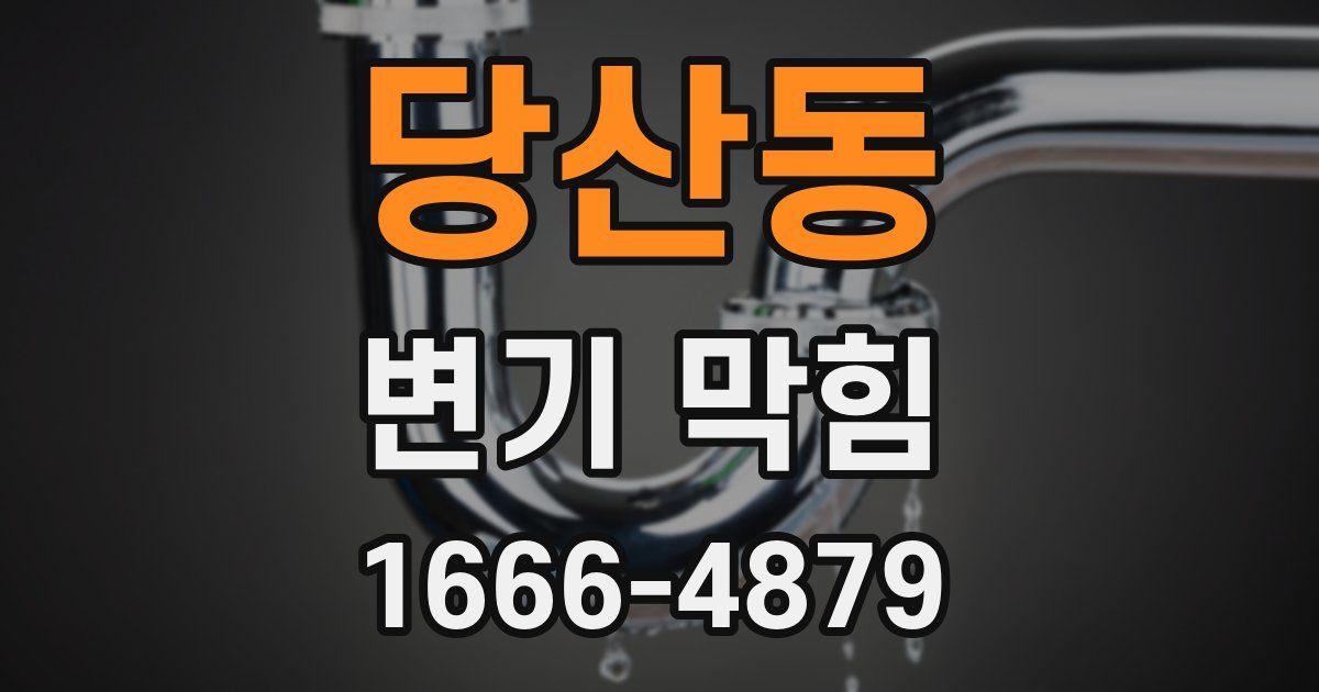 당산동 변기 막힘