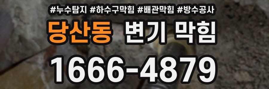 당산동 변기 막힘