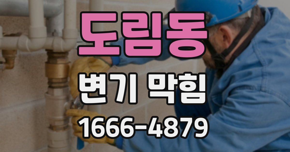 도림동 변기 막힘