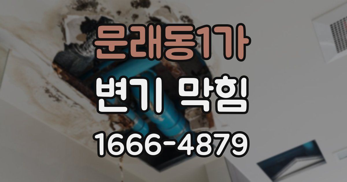 문래동1가 변기 막힘