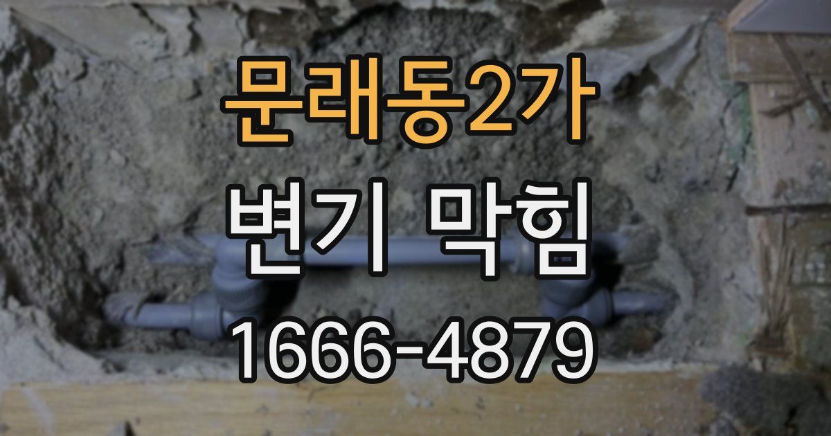 문래동2가 변기 막힘