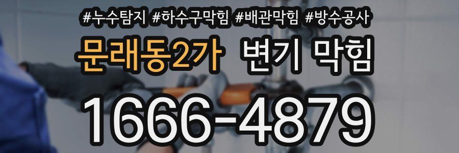 문래동2가 변기 막힘