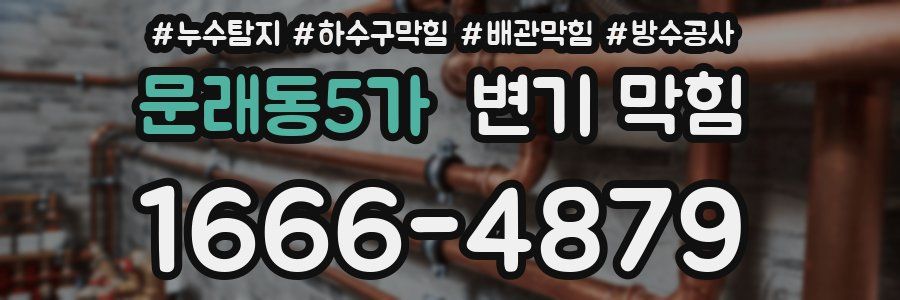 문래동5가 변기 막힘