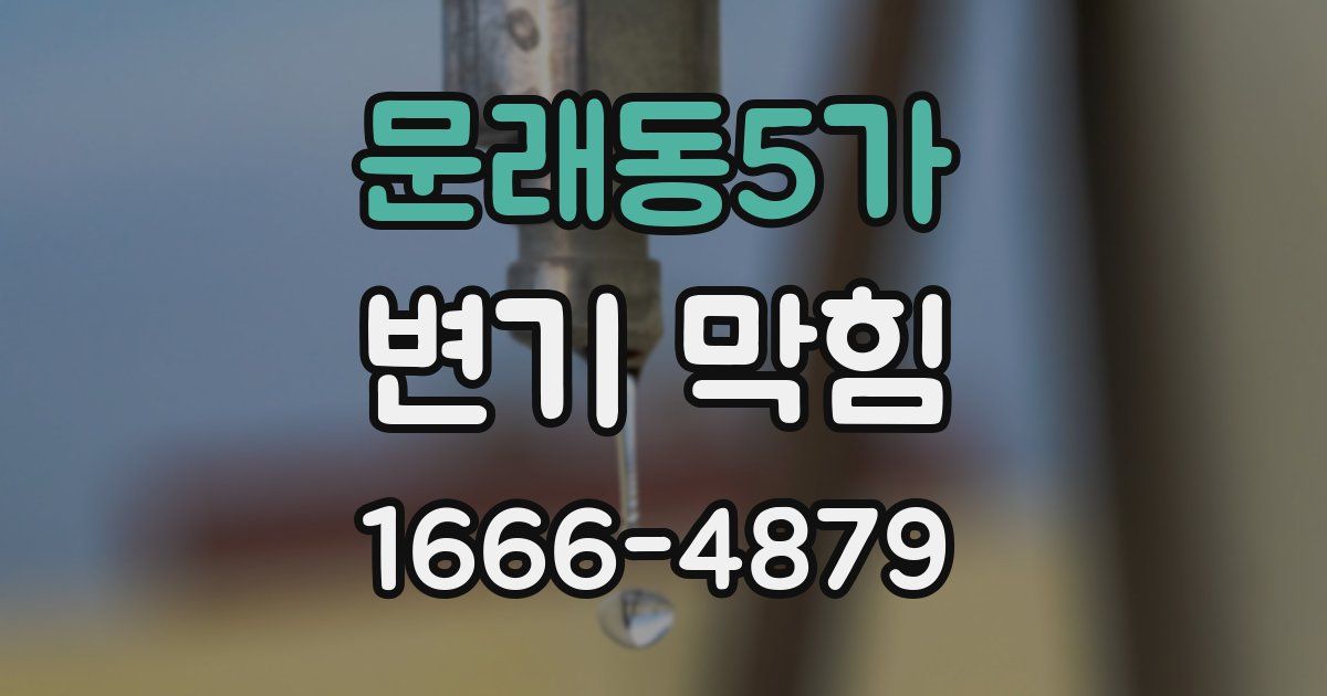 문래동5가 변기 막힘