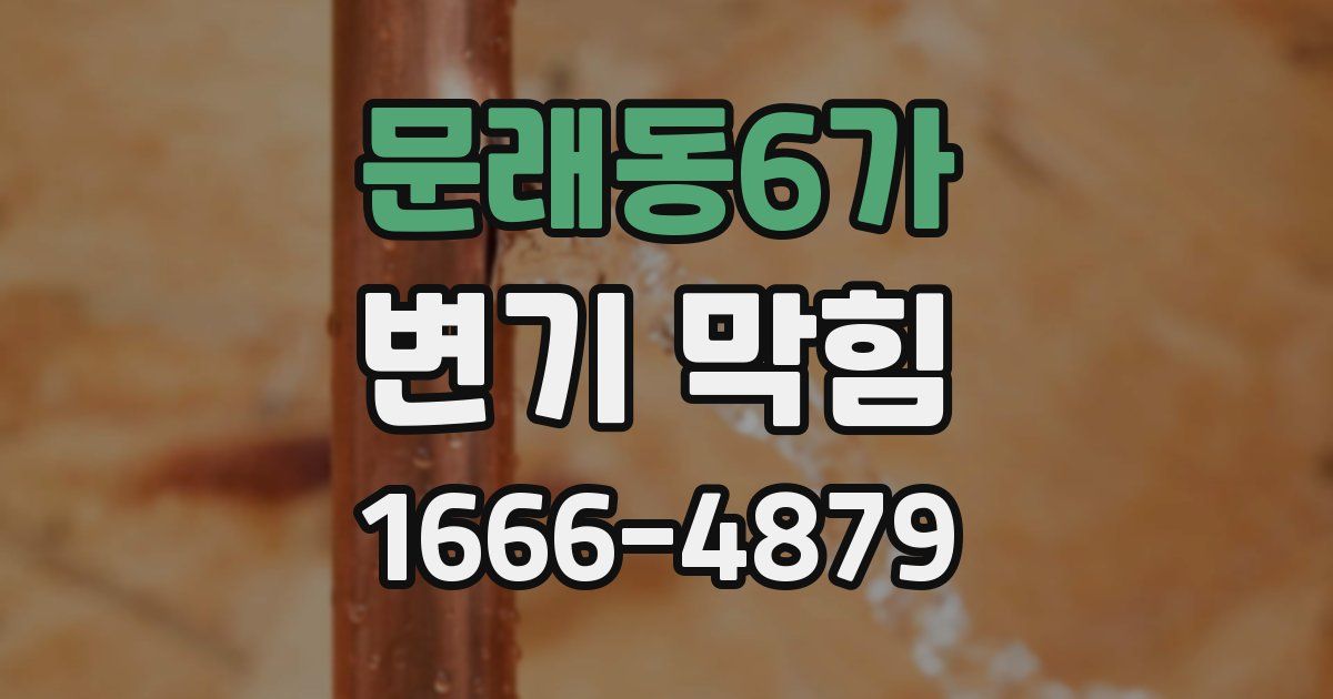 문래동6가 변기 막힘