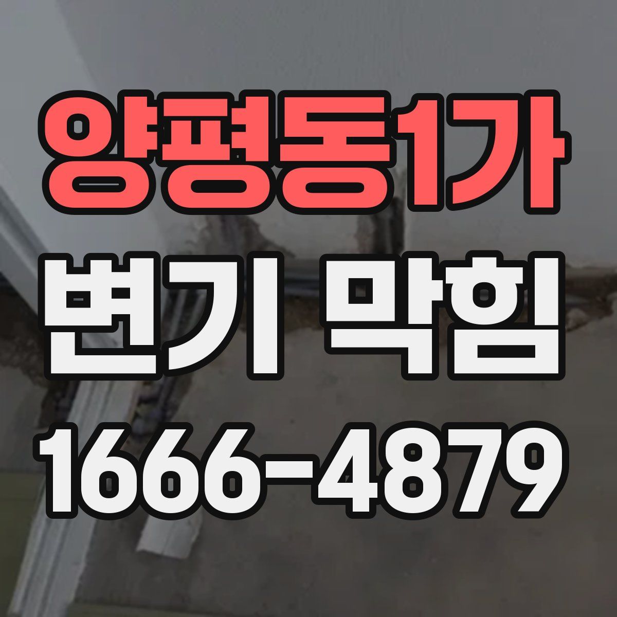 양평동1가 변기 막힘