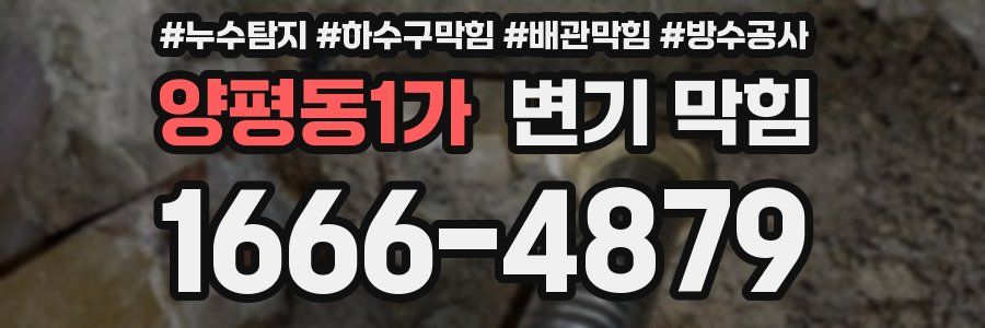 양평동1가 변기 막힘