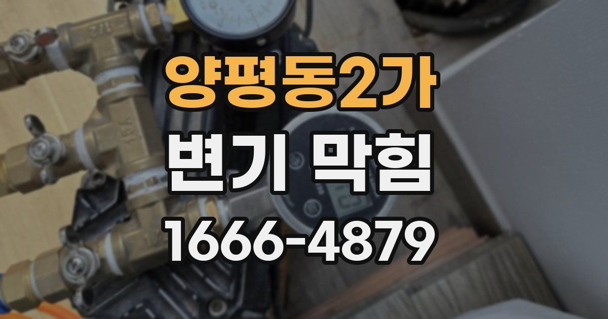 양평동2가 변기 막힘