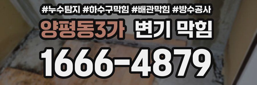 양평동3가 변기 막힘