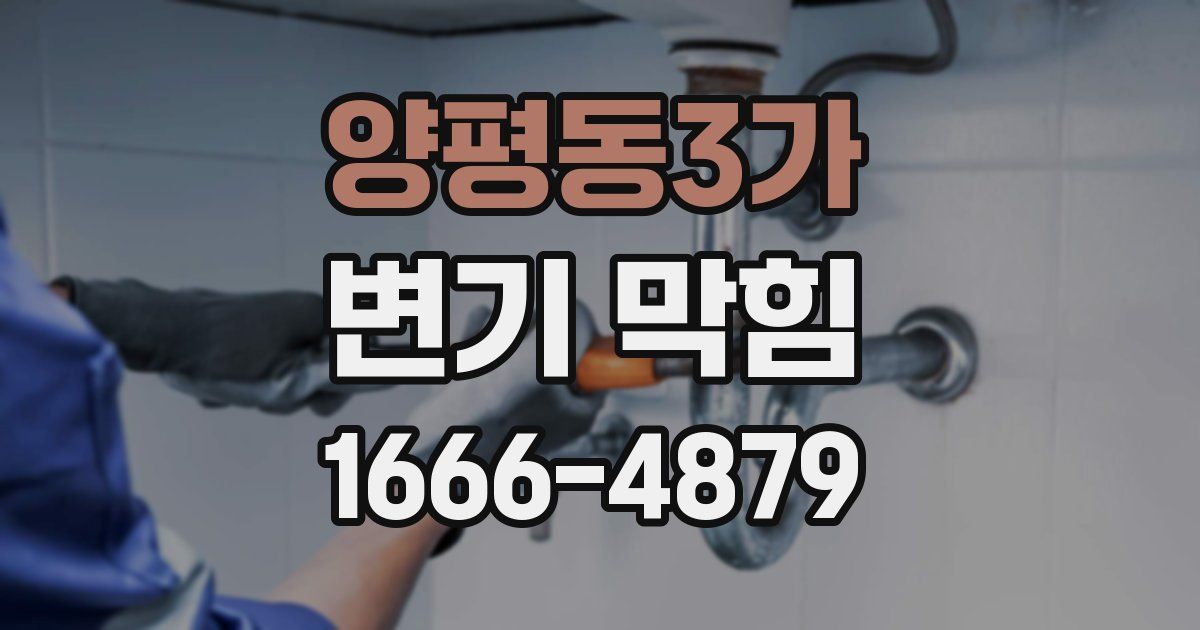 양평동3가 변기 막힘