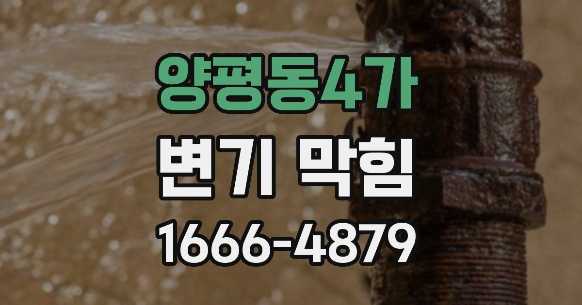 양평동4가 변기 막힘