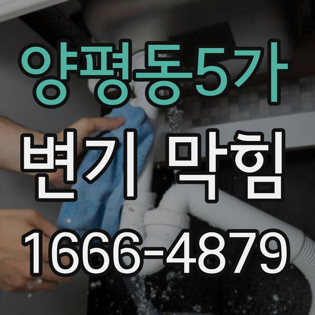 양평동5가 변기 막힘