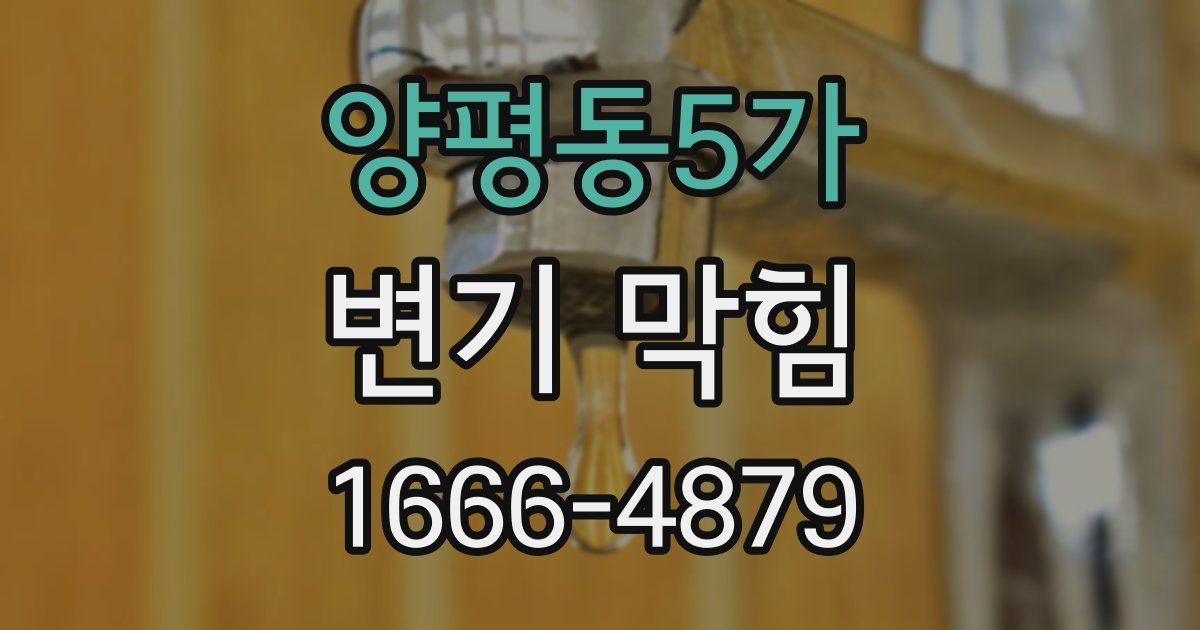 양평동5가 변기 막힘