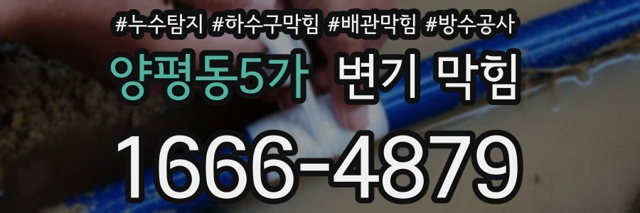 양평동5가 변기 막힘