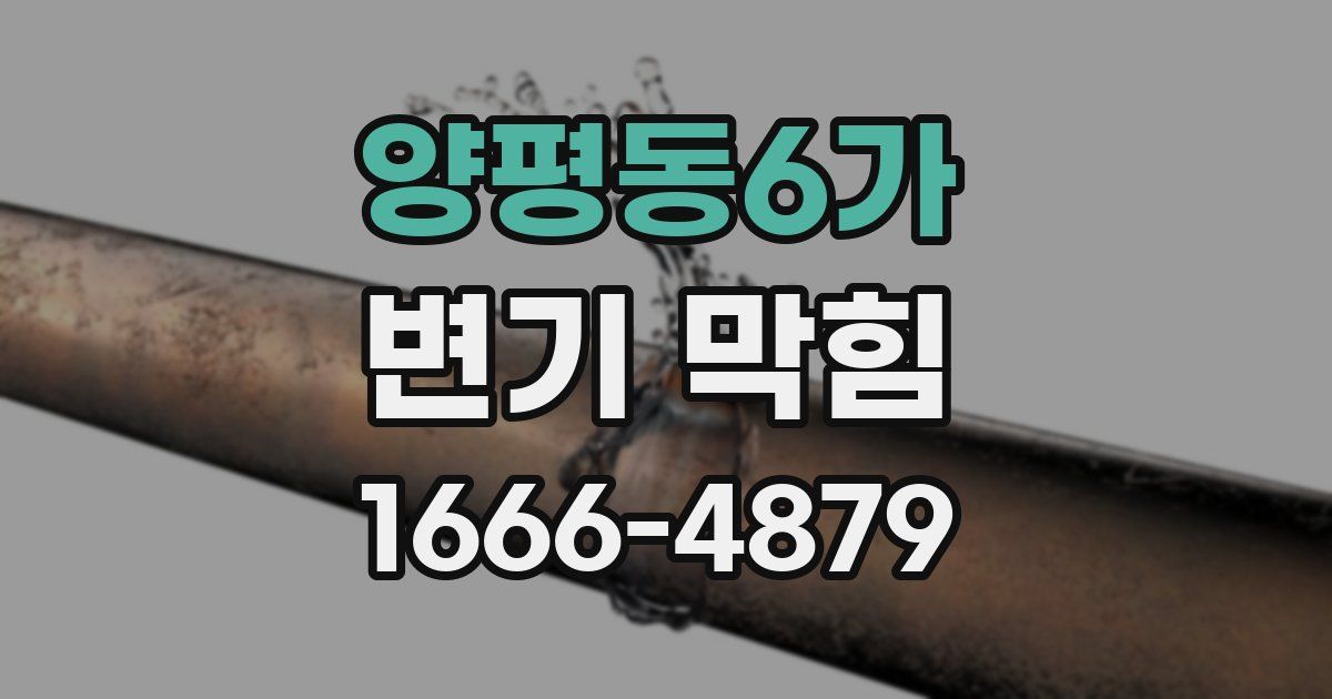 양평동6가 변기 막힘