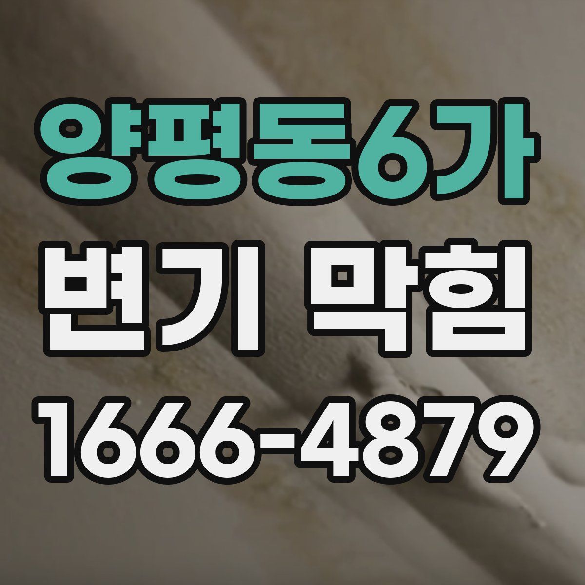 양평동6가 변기 막힘