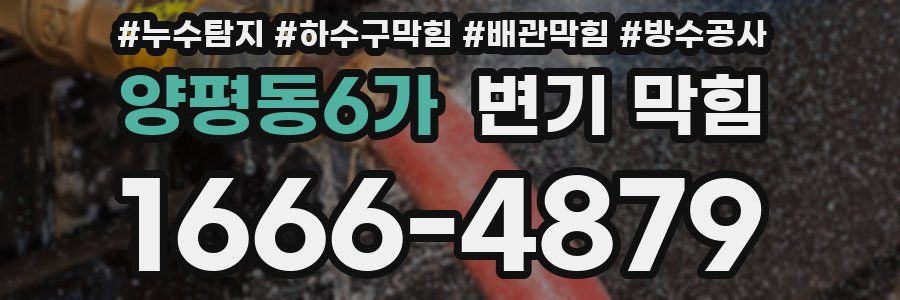 양평동6가 변기 막힘