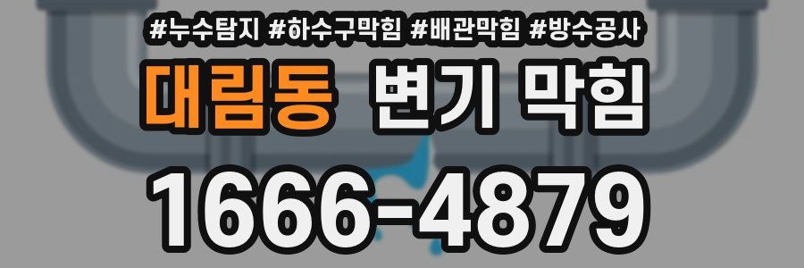 대림동 변기 막힘